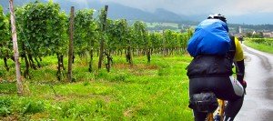 Los Paisajes del Vino Alfonso Lacuesta