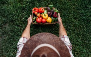 Jornadas Autonómicas sobre Alimentación Responsable